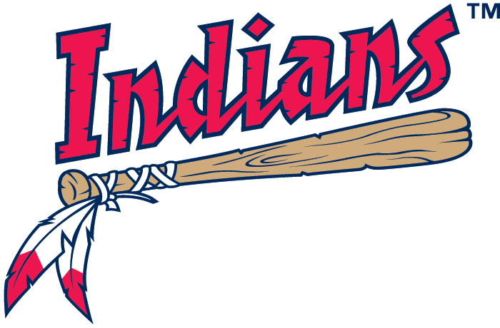 Kinston Indians 1987-2010 wordmark logo iron on transfers for clothing